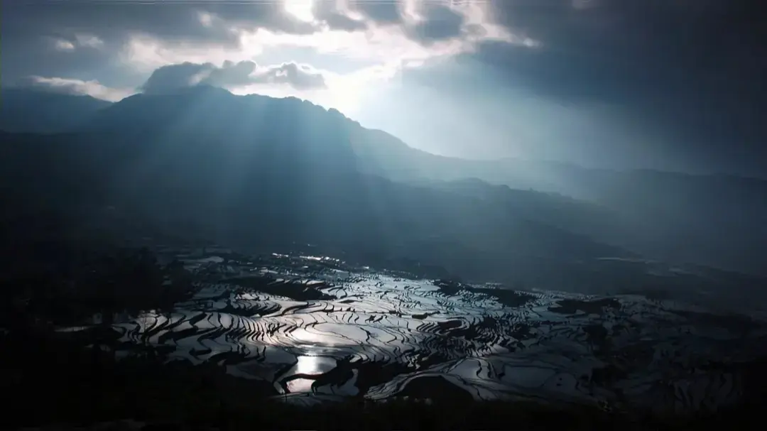 快节奏经典重映